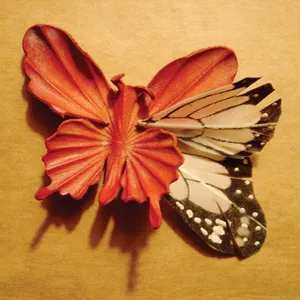 We made this ourselves